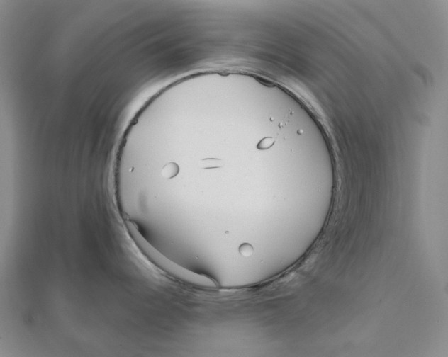 X0000111791344200908201123