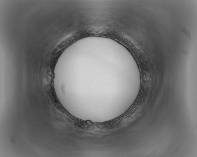 X0000111791349200908201123