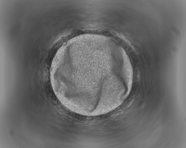 X0000111791350200908201123