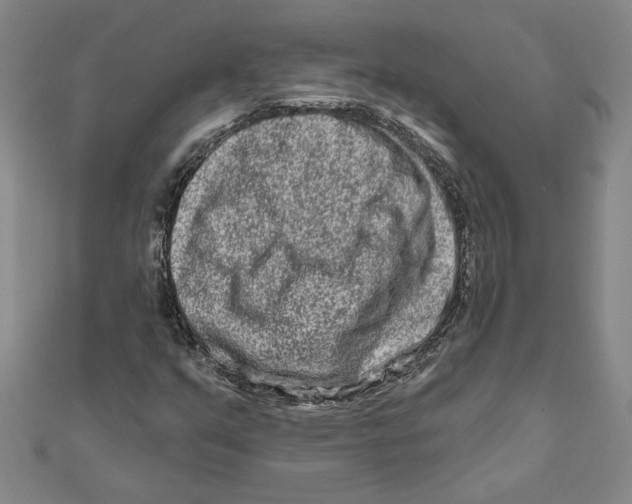 X0000111791351200908201122