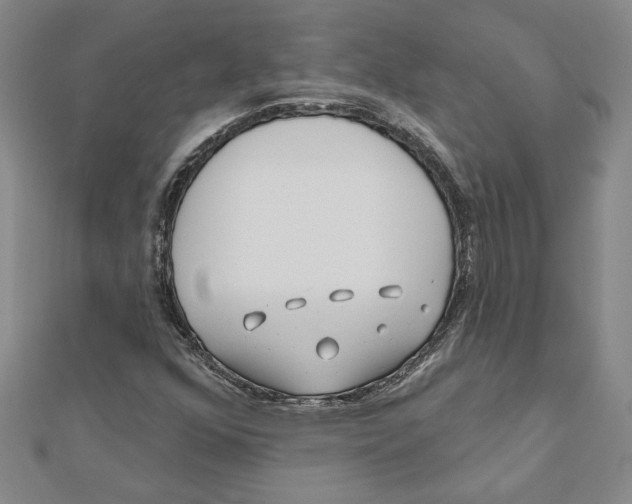 X0000111791352200908201122