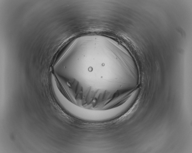 X0000111791353200908201122