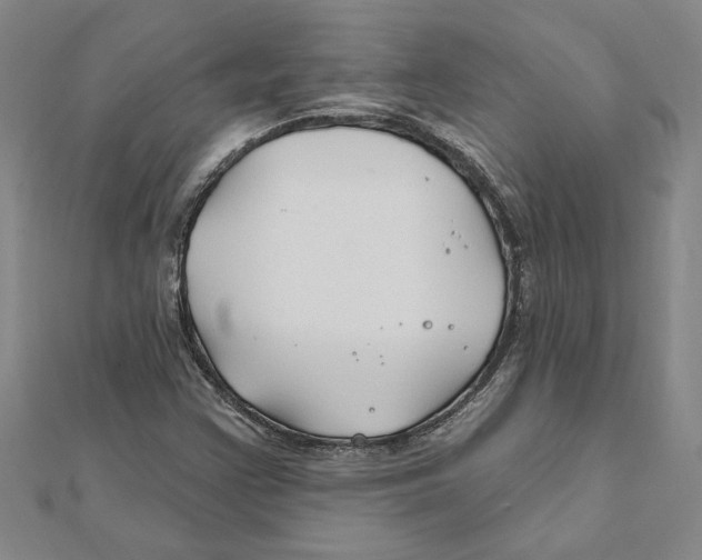 X0000111791355200908201122