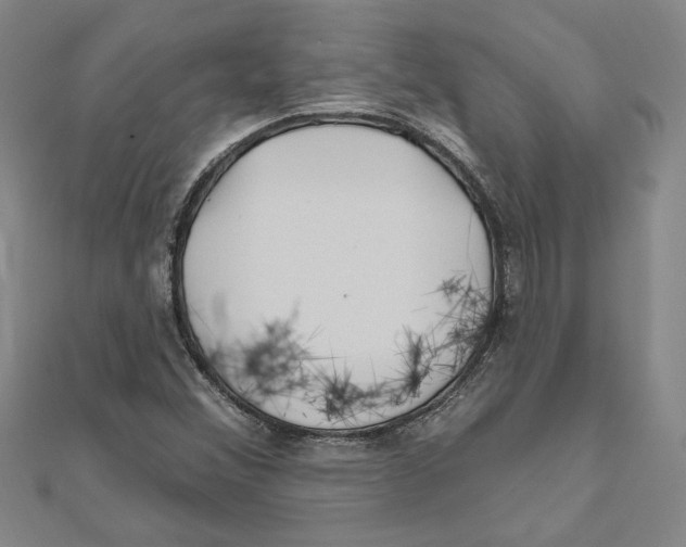 X0000111791356200908201122