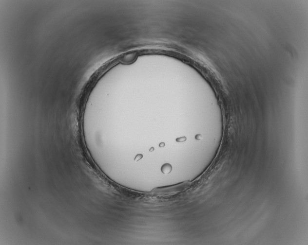 X0000111791360200908201122