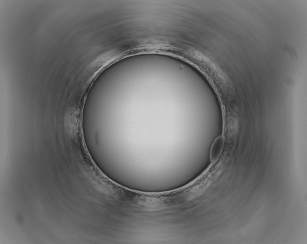 X0000111791361200908201122