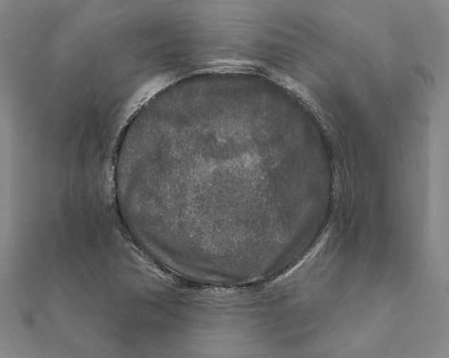 X0000111791362200908201122