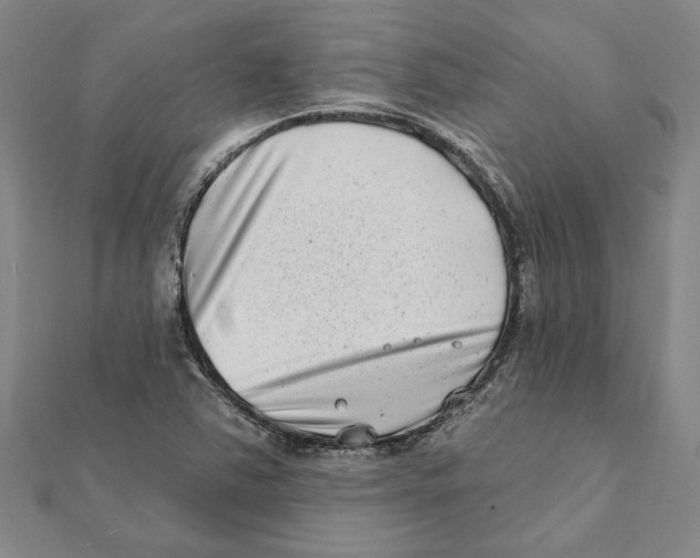 X0000111791363200908201122