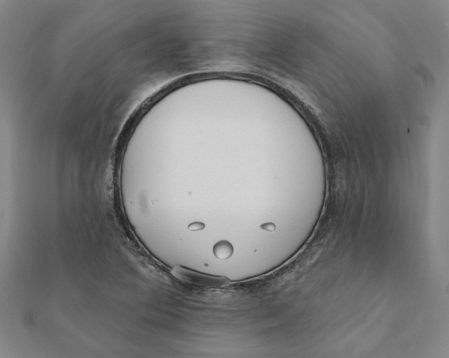 X0000111791364200908201122