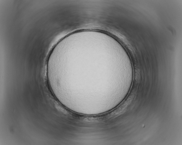 X0000111791366200908201122