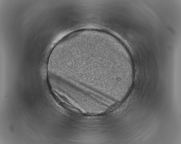 X0000111791367200908201122