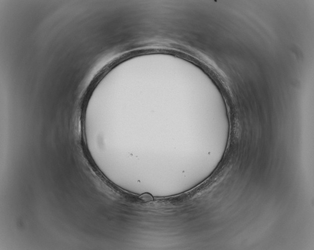 X0000111791368200908201122