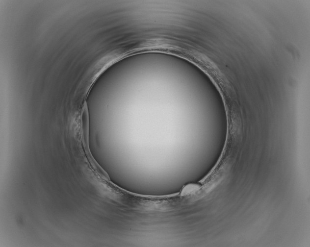 X0000111791369200908201122