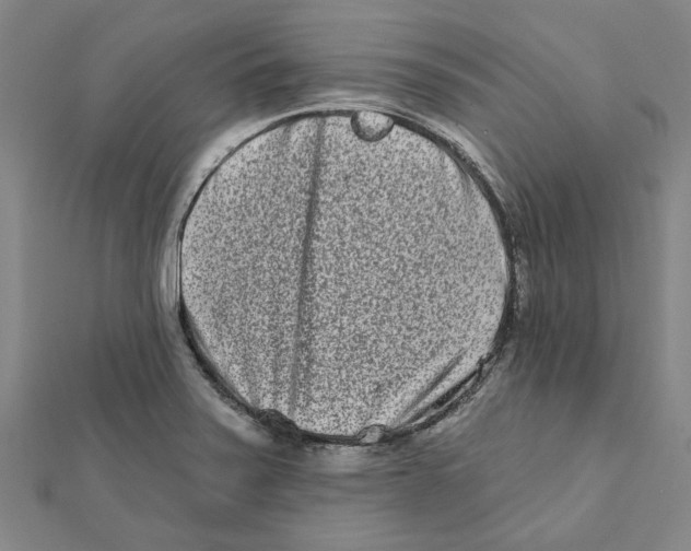 X0000111791371200908201122