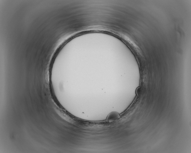 X0000111791372200908201122