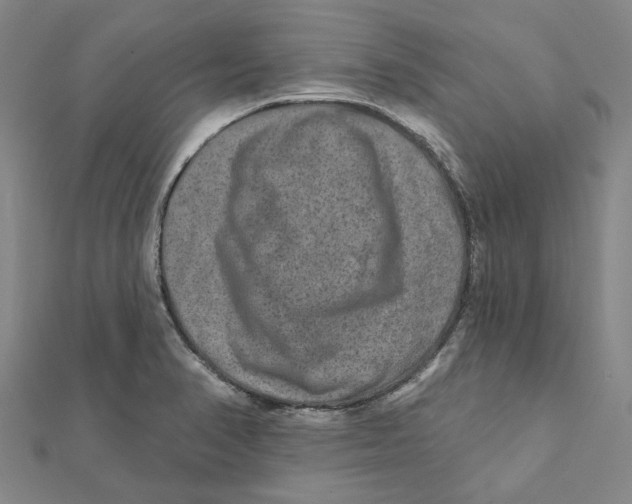 X0000111791374200908201122