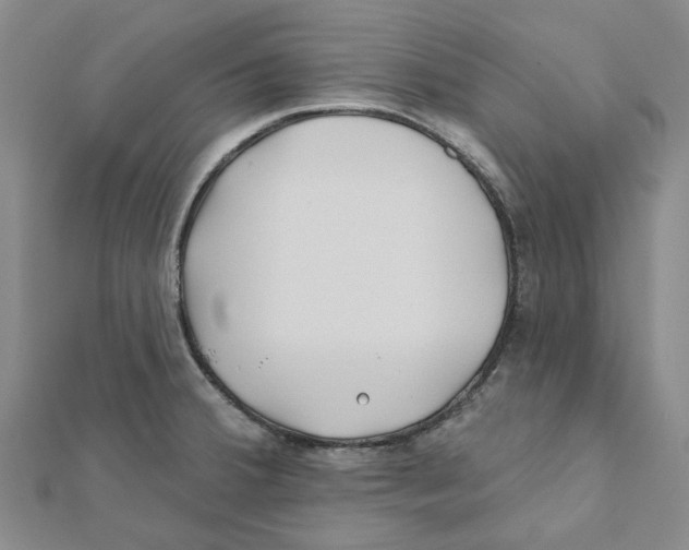 X0000111791380200908201122