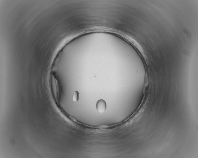 X0000111791381200908201122