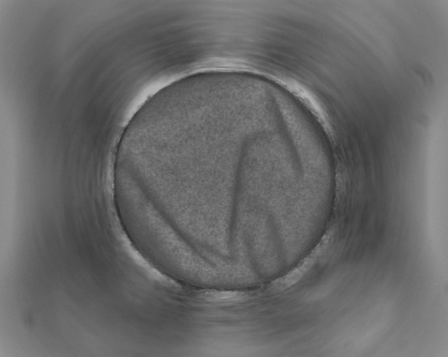 X0000111791382200908201122