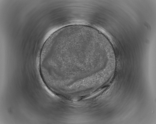 X0000111791383200908201122