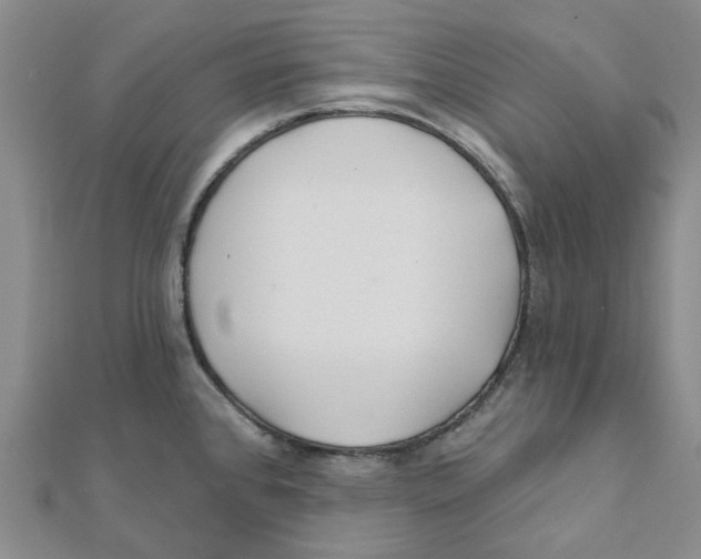 X0000111791384200908201122