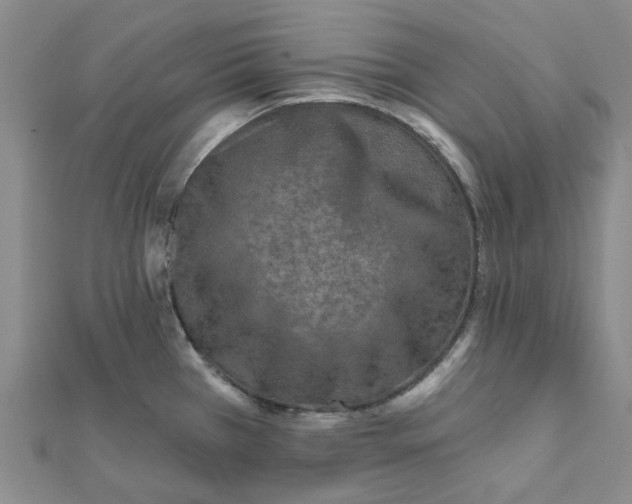 X0000111791385200908201122