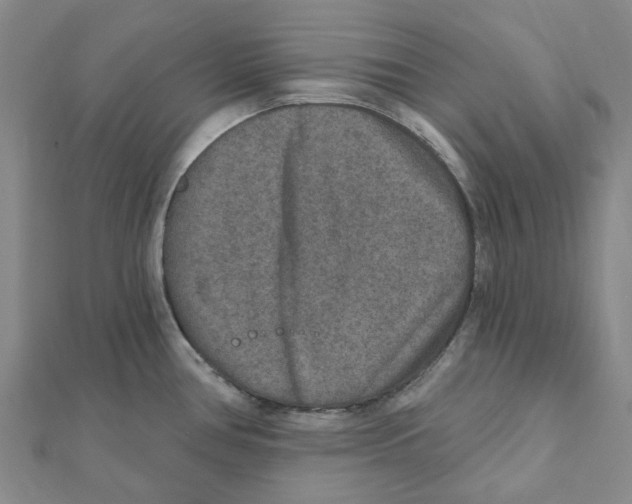 X0000111791386200908201122