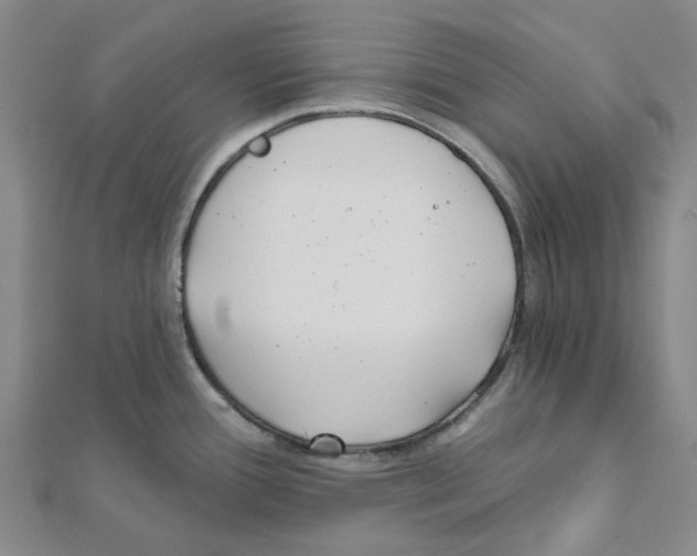 X0000111791388200908201122