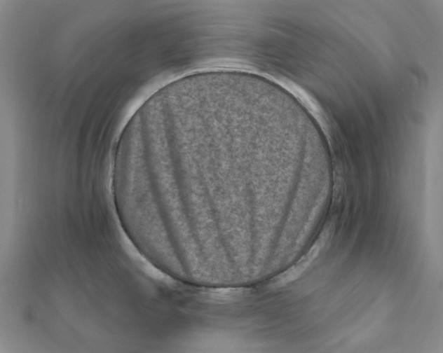 X0000111791390200908201122