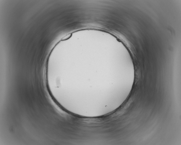 X0000111791391200908201122