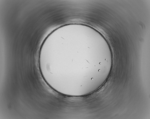 X0000111791392200908201122