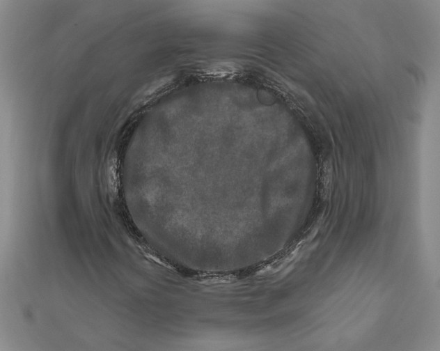 X0000111791394200908201121