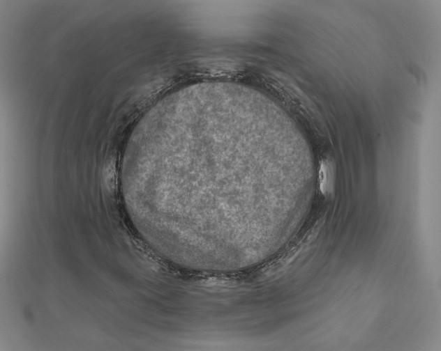 X0000111791395200908201121