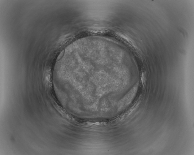 X0000111791396200908201121