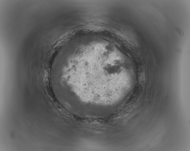 X0000111791397200908201121