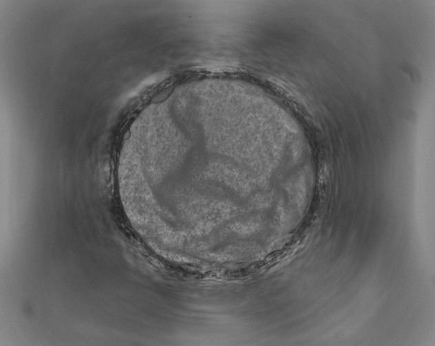 X0000111791398200908201121