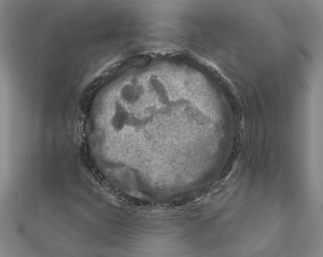 X0000111791399200908201121