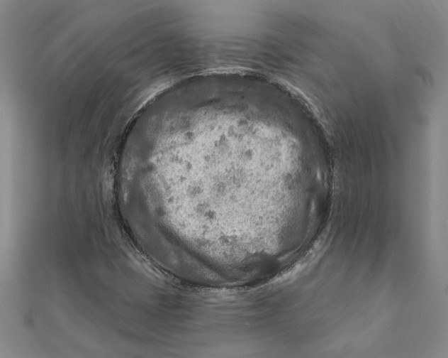 X0000111791401200908201121