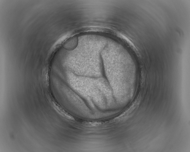 X0000111791403200908201121