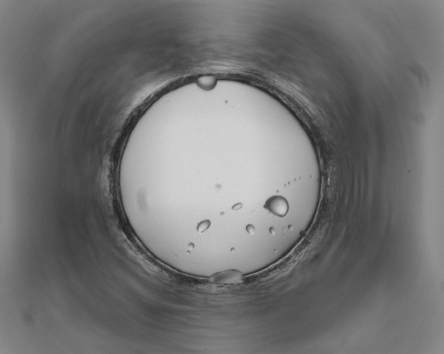 X0000111791404200908201121