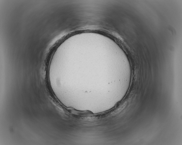 X0000111791406200908201121