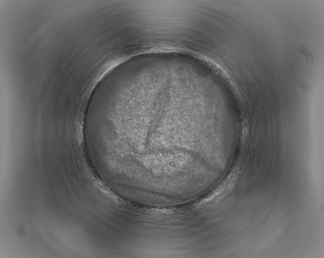 X0000111791409200908201121