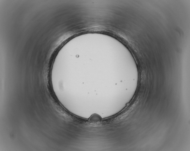 X0000111791410200908201121