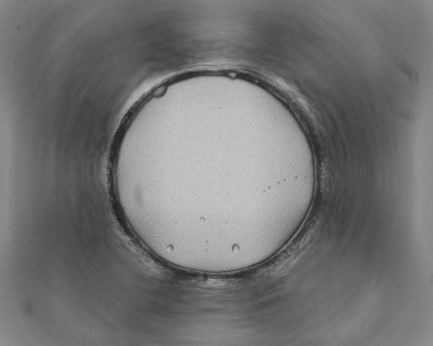 X0000111791412200908201121