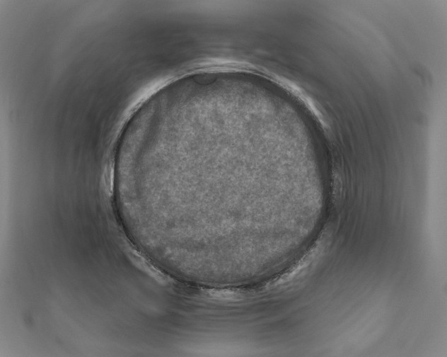 X0000111791413200908201121