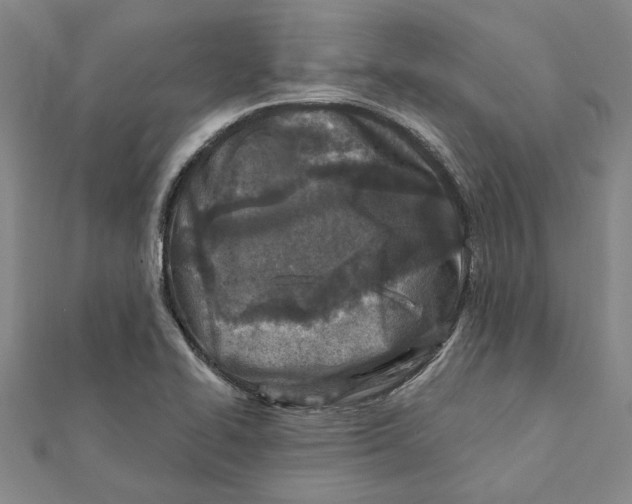 X0000111791414200908201121