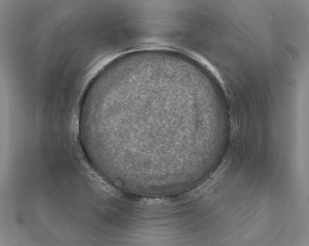 X0000111791415200908201121