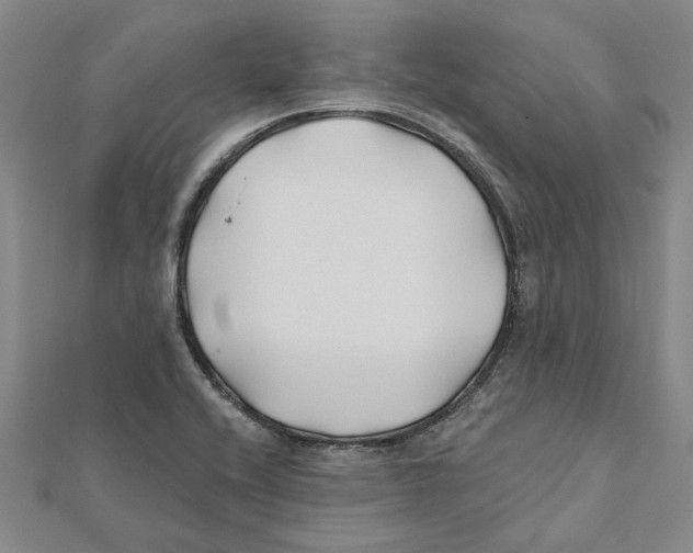 X0000111791416200908201121