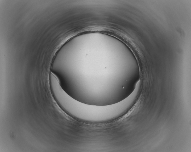 X0000111791417200908201121