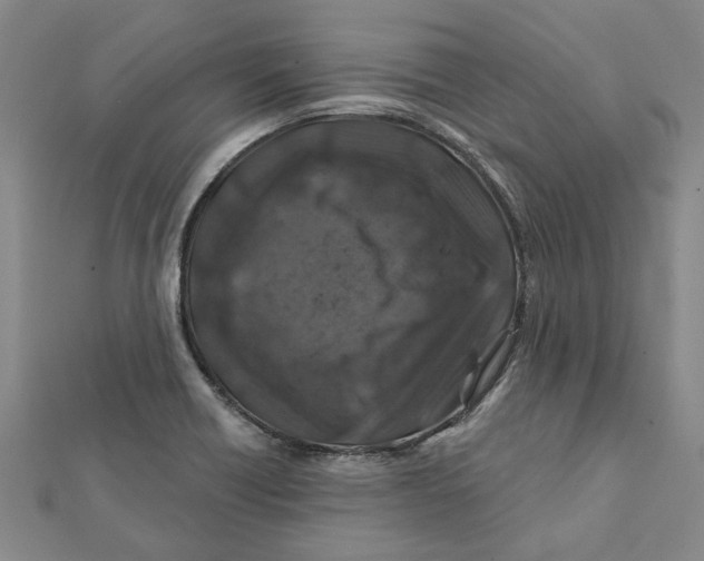 X0000111791418200908201121